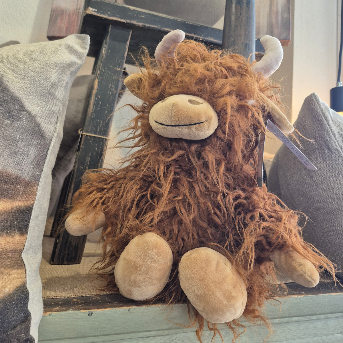 Henry the Highland Cow – pod&seed online