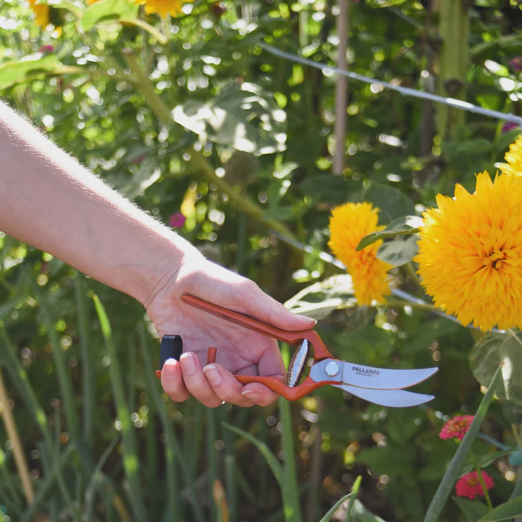 Pallares Vintage Garden Scissors 7.5 - Curved